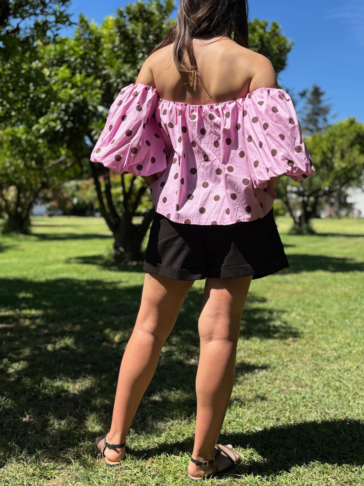 Top POLKA rose
