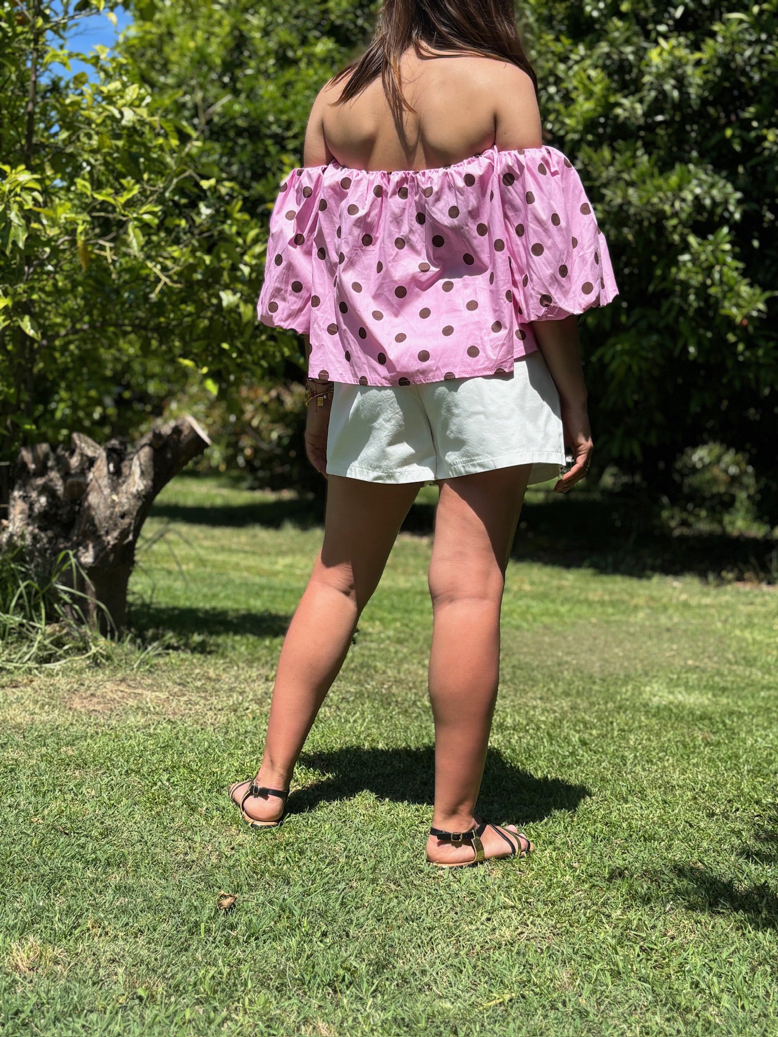 Top POLKA rose