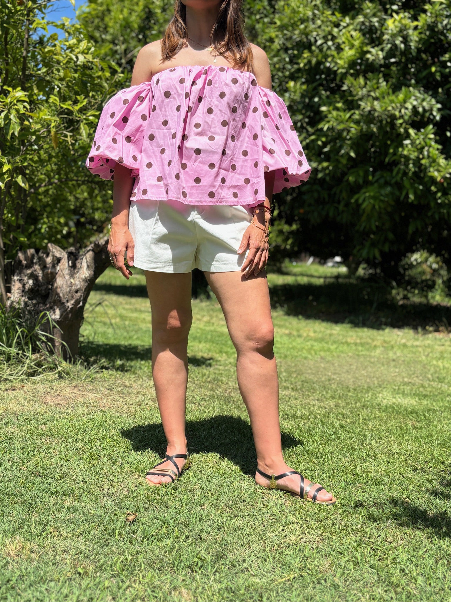 Top POLKA rose
